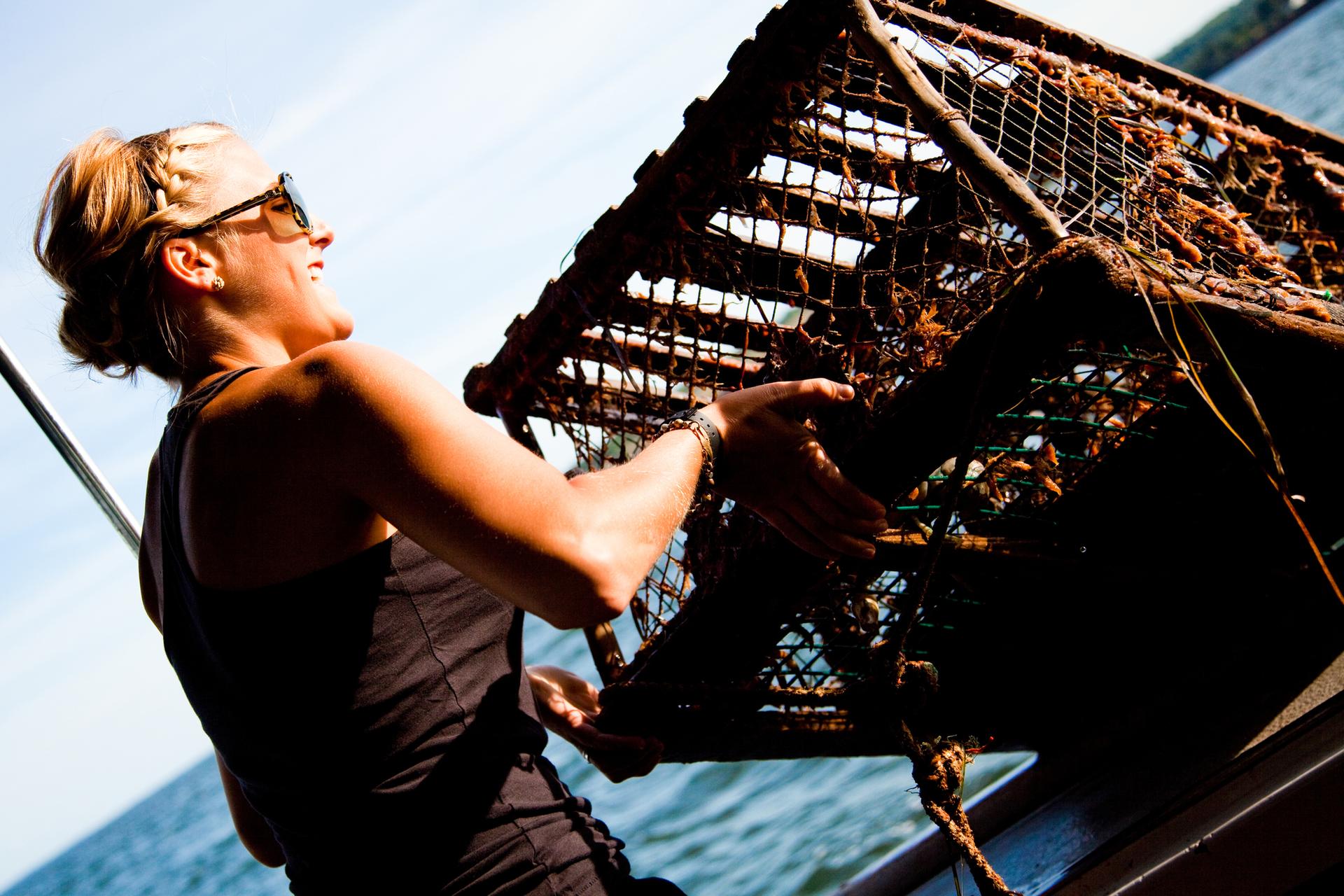 A woman pulls a lobster trap onto a boat