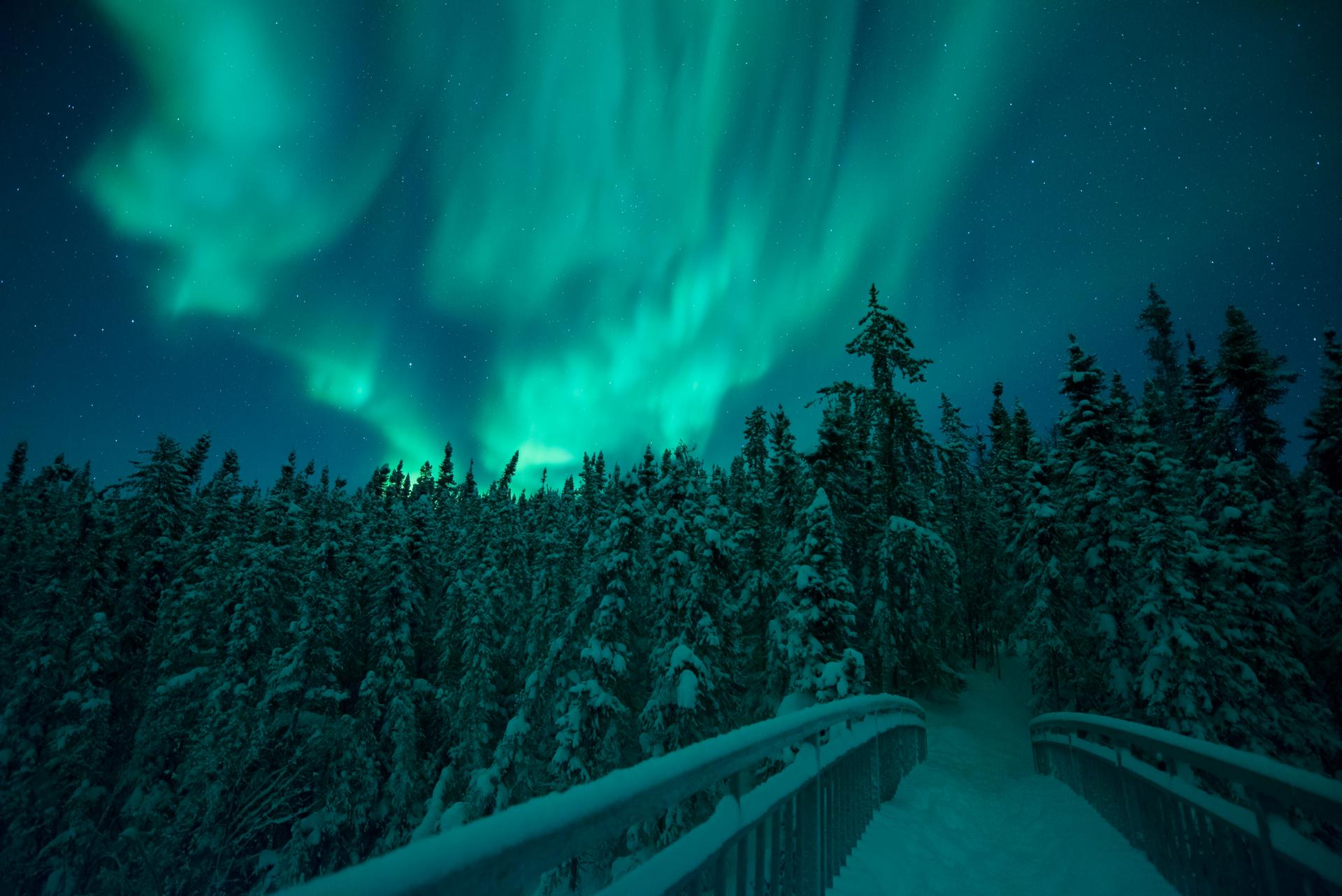 Night time at Cameron Falls Bridge under vibrant northern lights