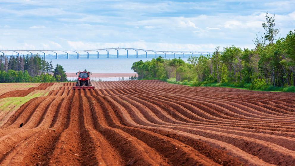 A tractor plows a farm, in view of the Confederation bridge