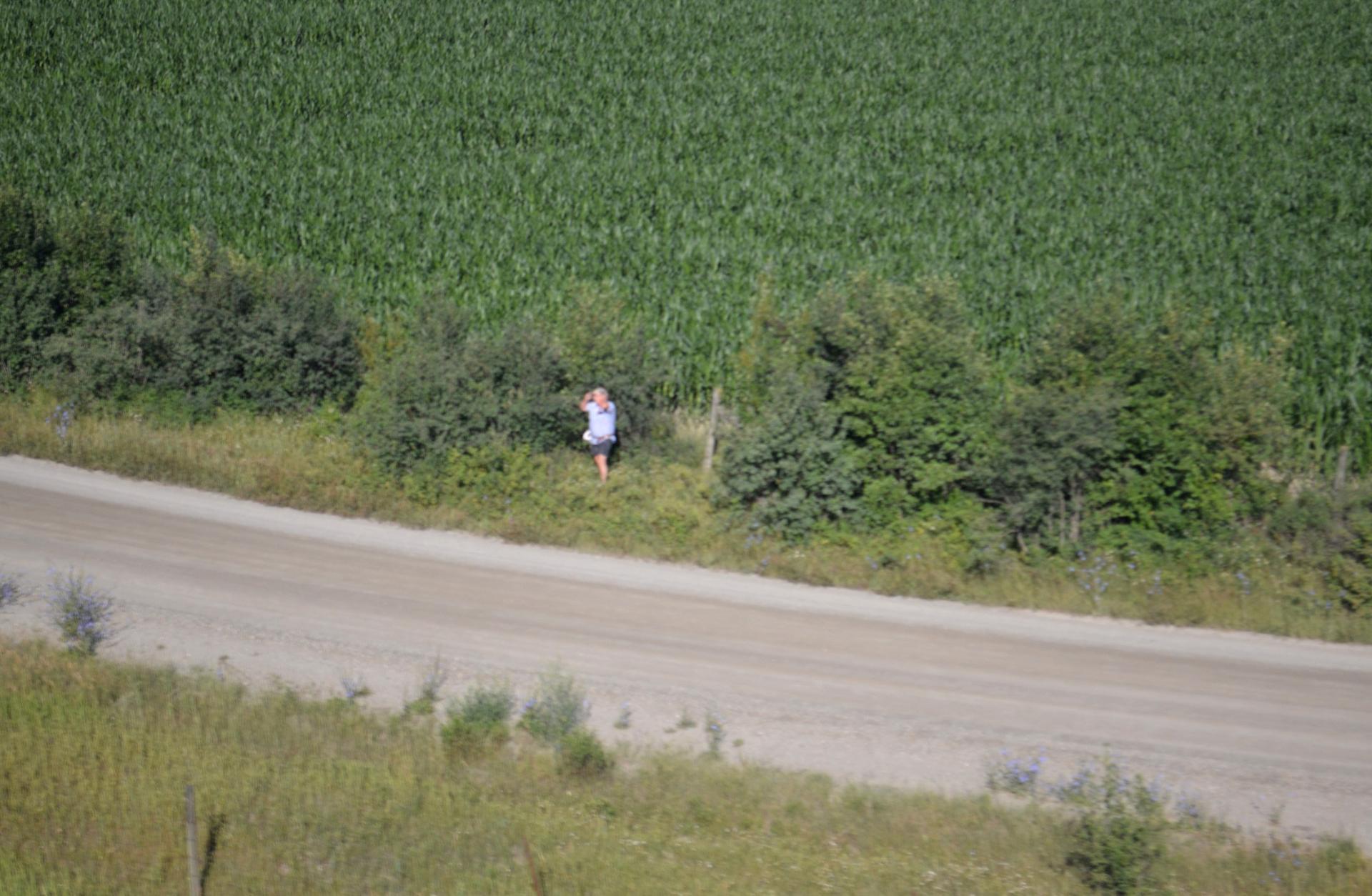 Field and road