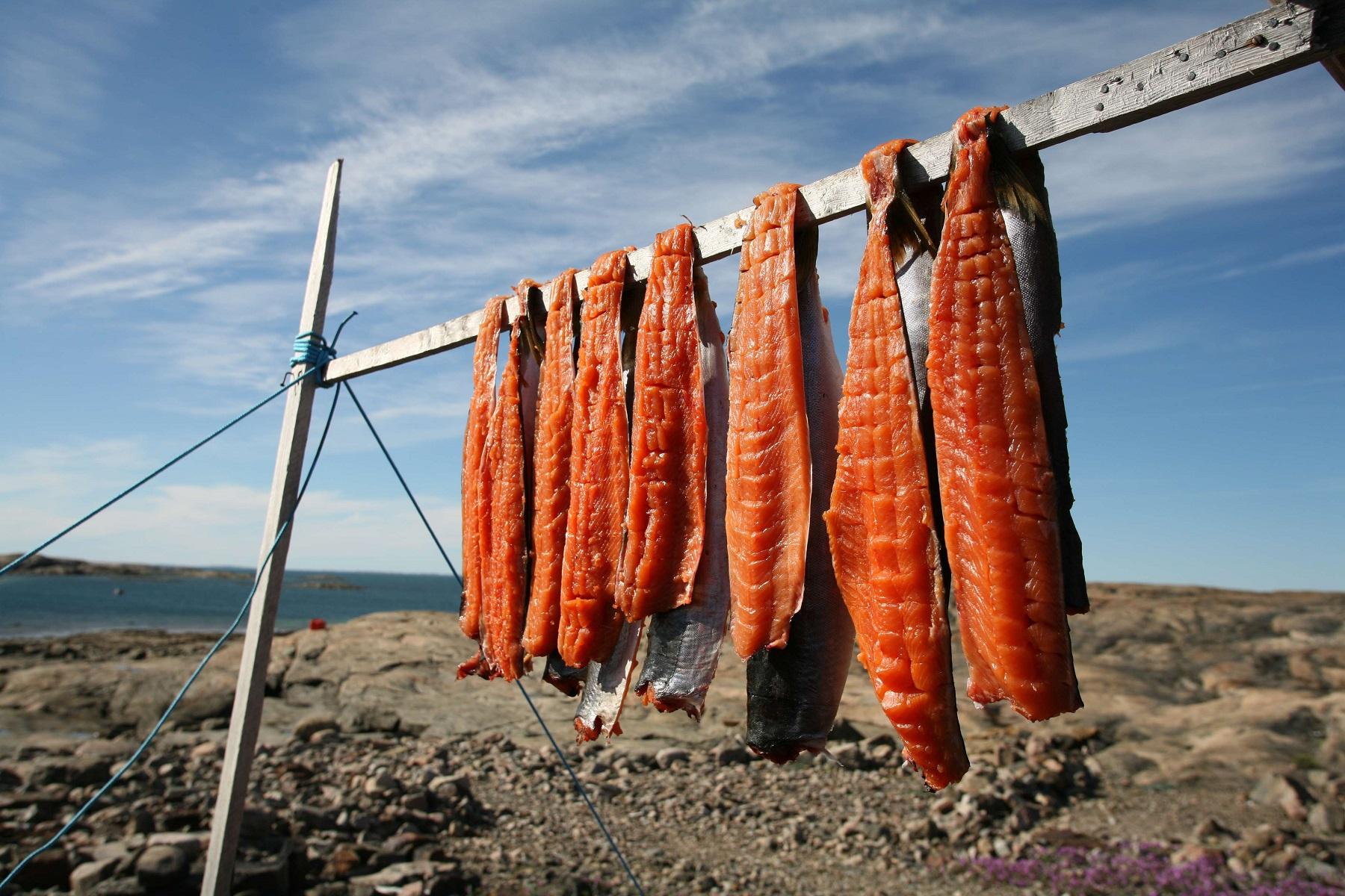 Cooked char drying on an outdoor rack