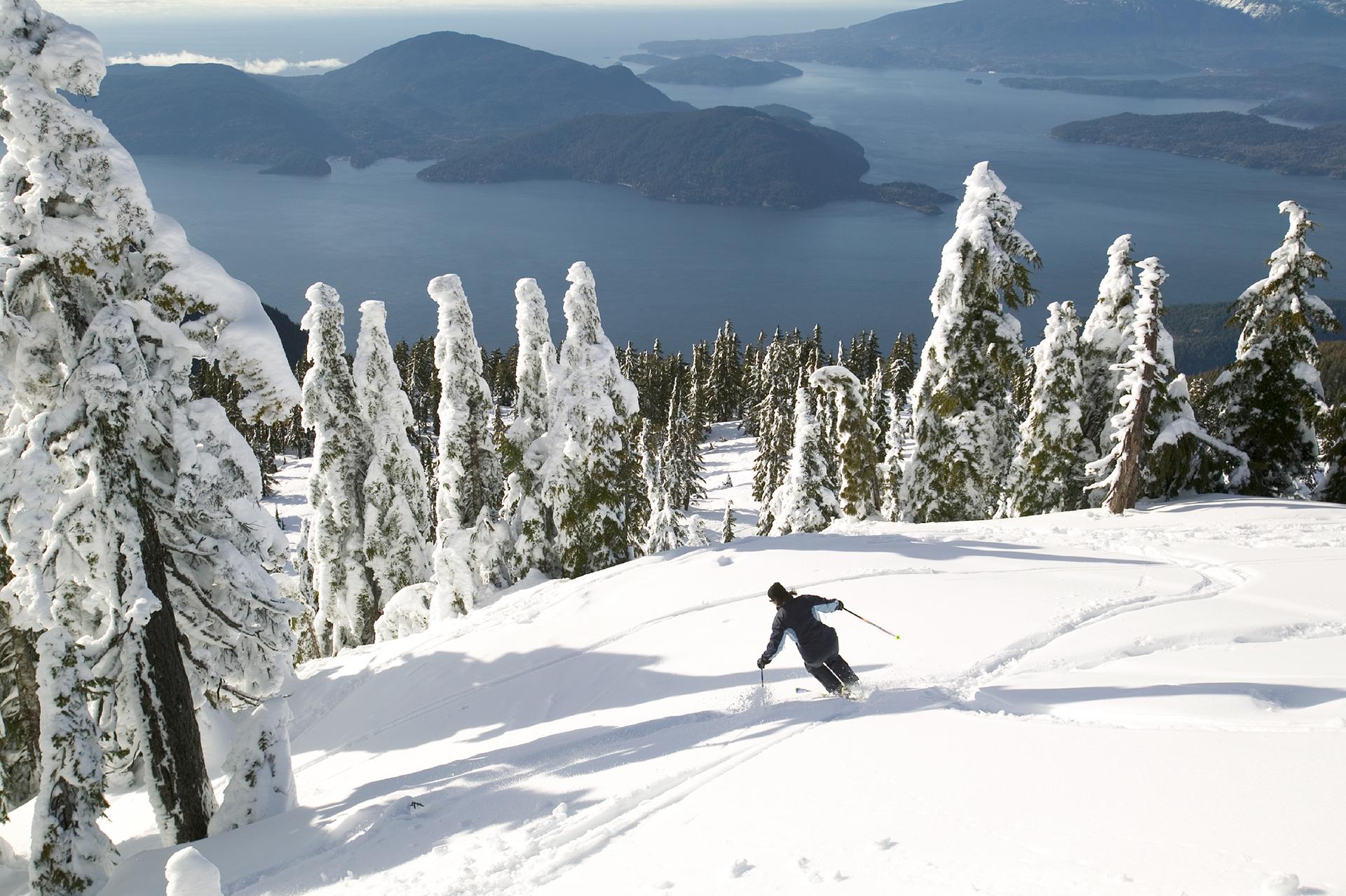 A skier descends a powdery white mountain lined with snow-topped trees
