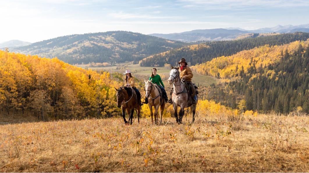 カナダ西部のアルバータ州には大半の日本人が知らない豊かなウエスタン文化がいまも息づいている