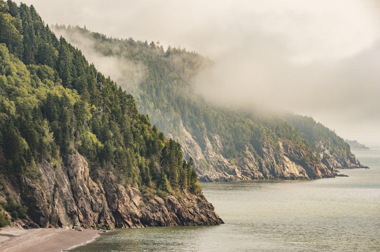 Bay of Fundy has green cliffside merging into the water and a misty background