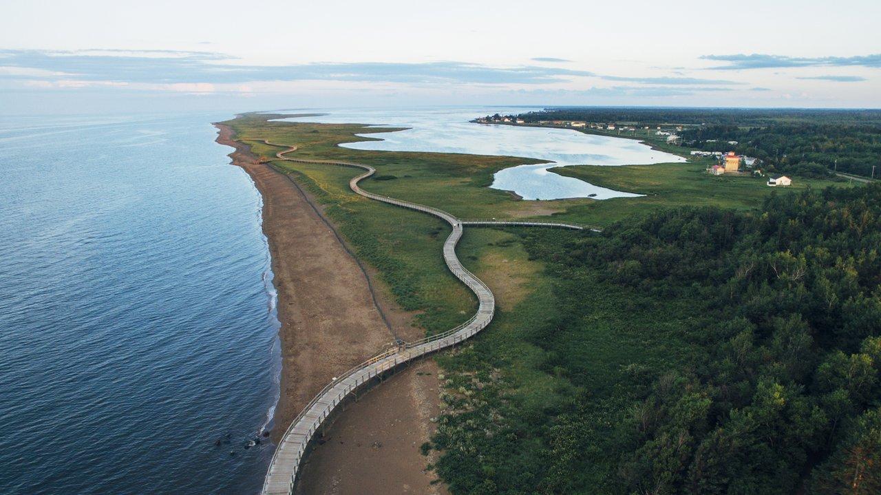 Long wood boardwalk throughout the coast and grass