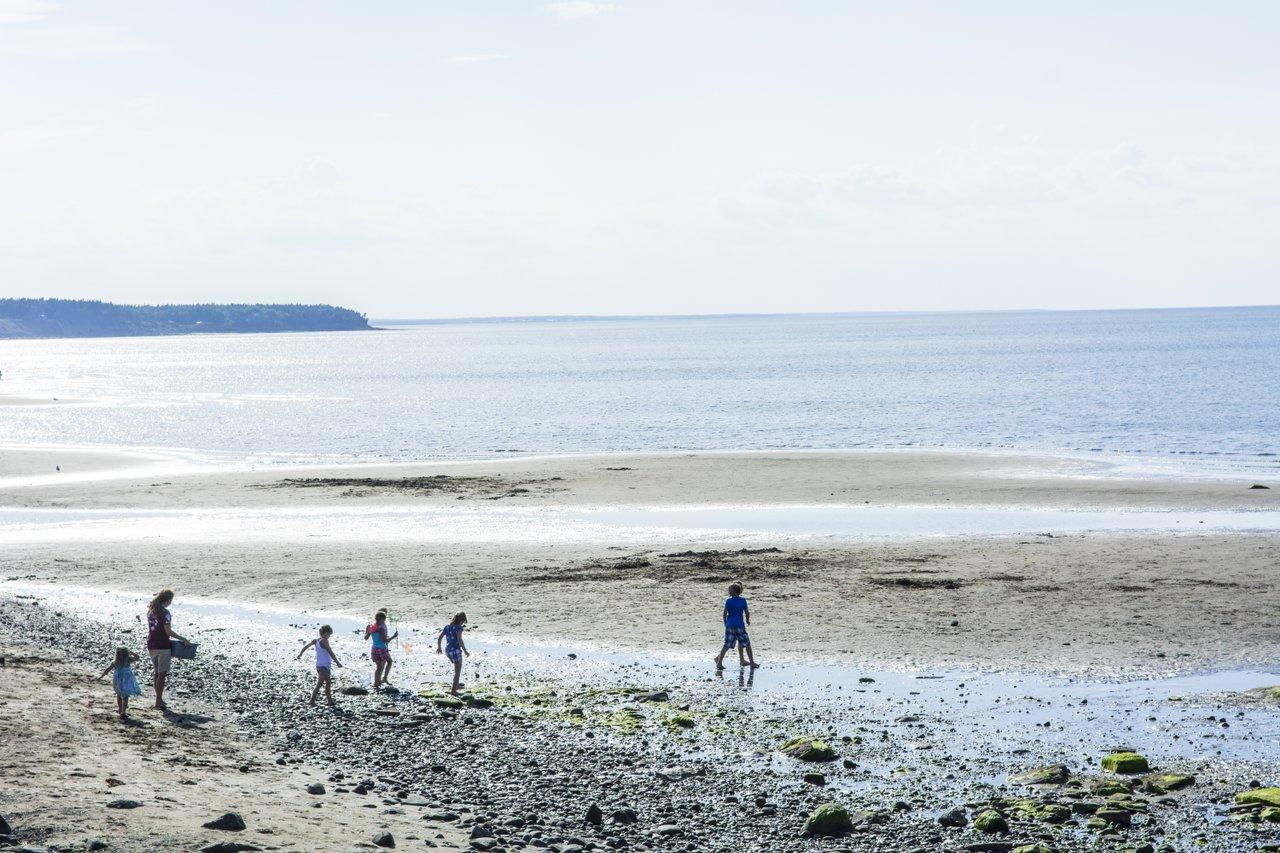 kids and people head toward the water, image taken from far away