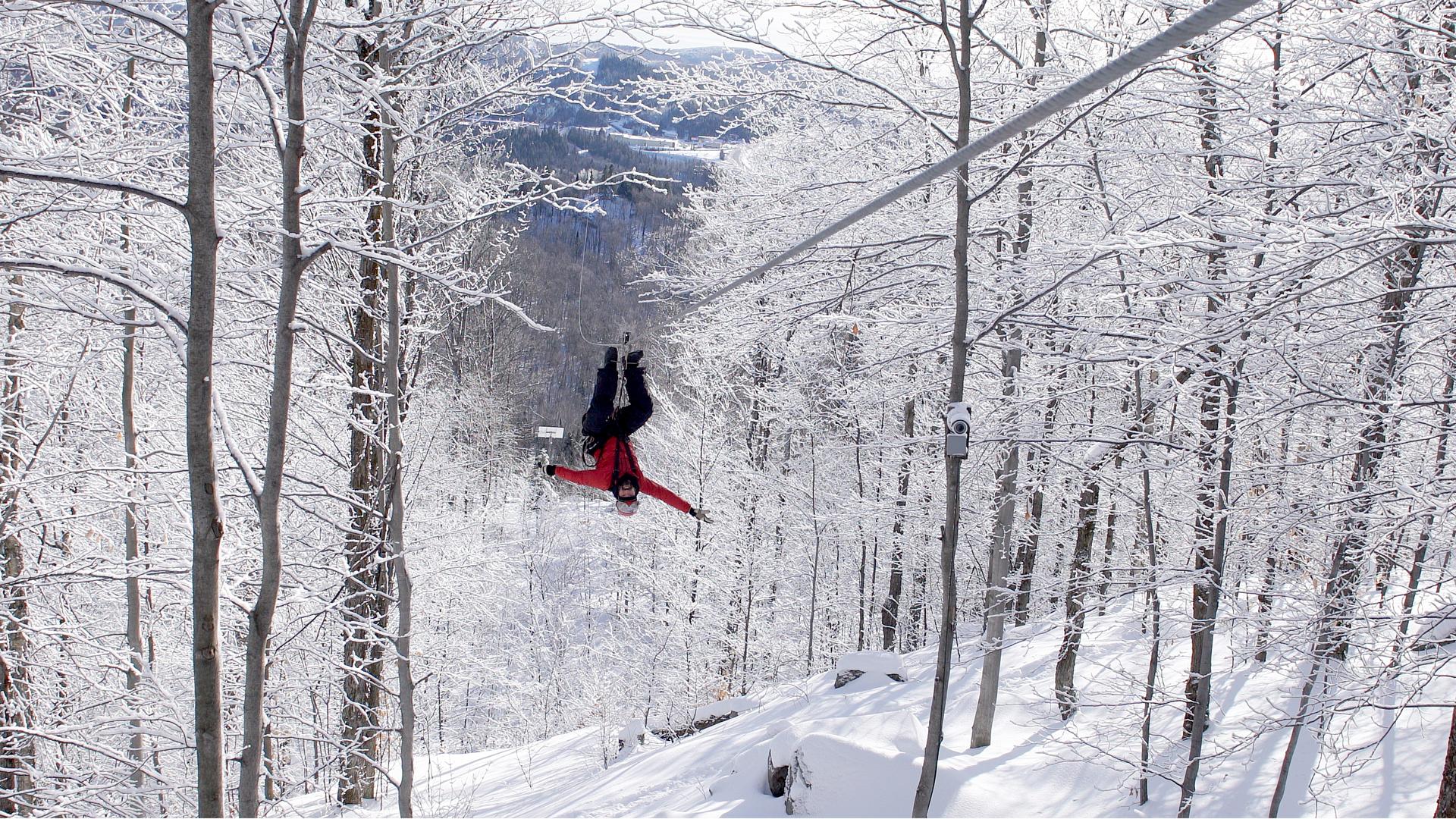 Tyroparc in Sainte-Agathe-des-Monts