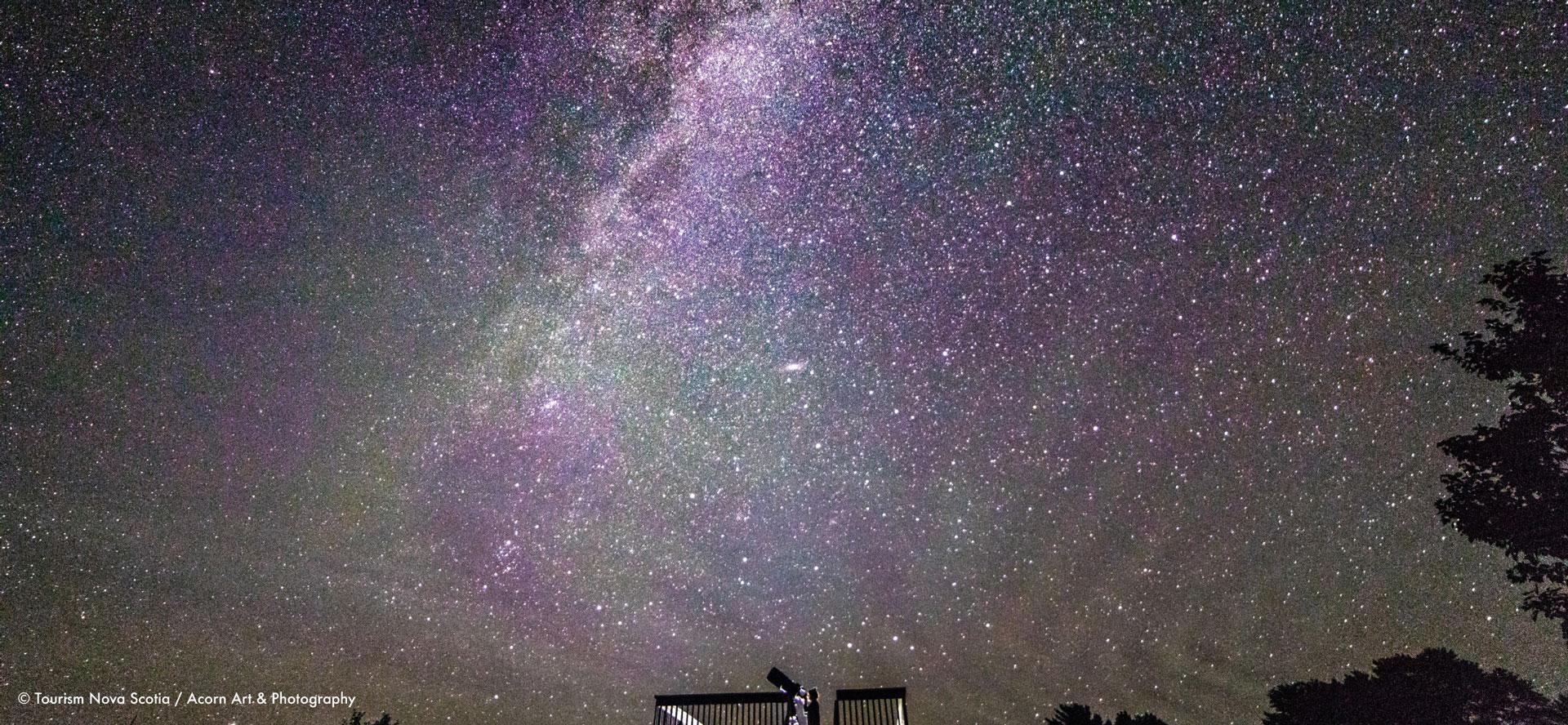 南西ノバ・エコパーク