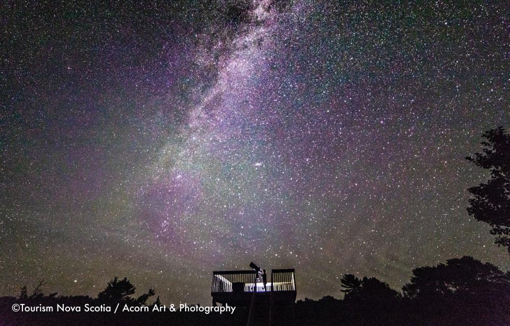 南西ノバ・エコパーク