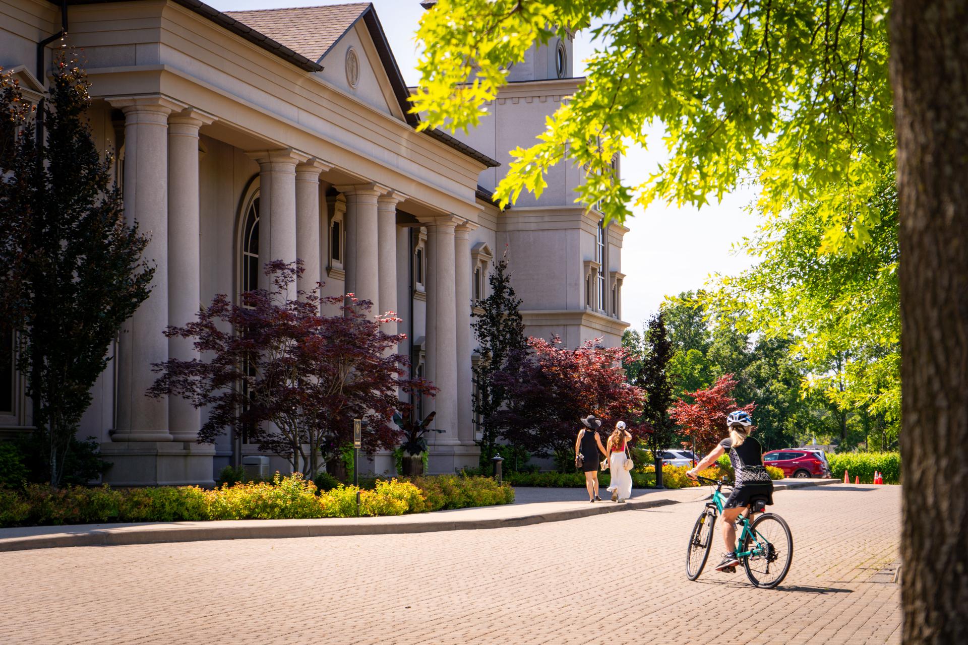 Two Sisters Vineyards