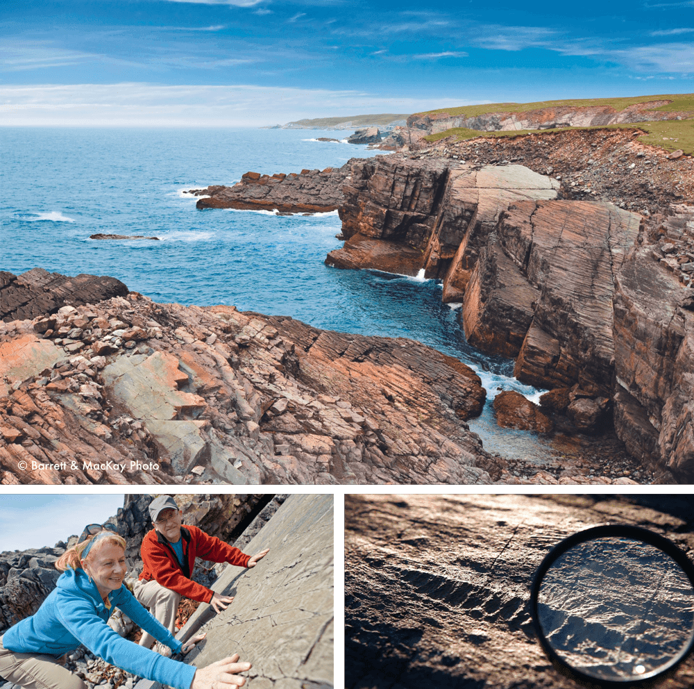 ミステイクン・ポイント