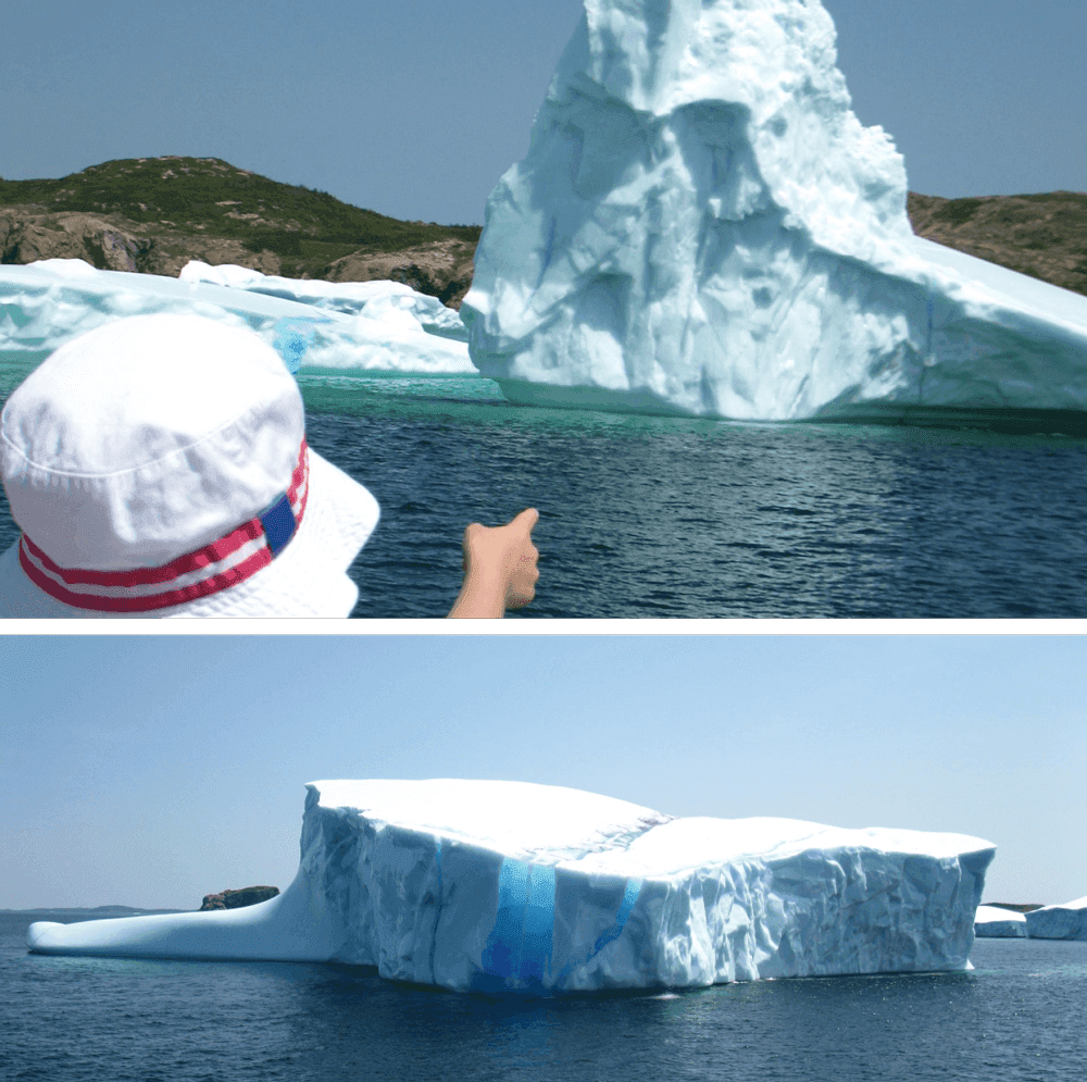 氷山ウォッチング