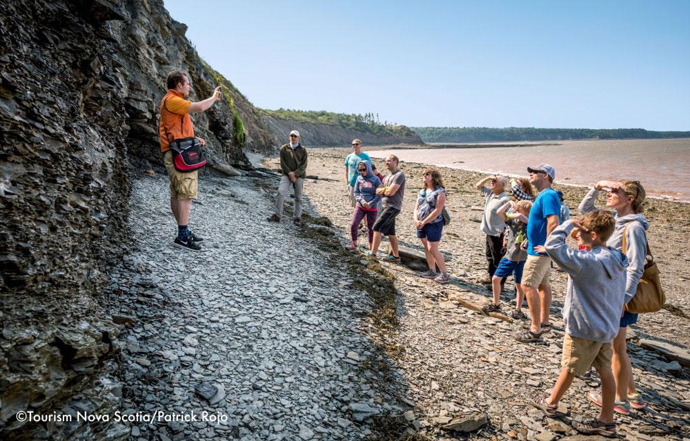 ジョギンズ化石断崖