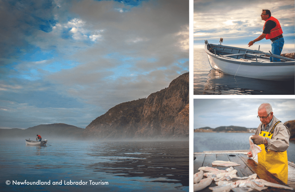 ニューファンドランドでフィッシング