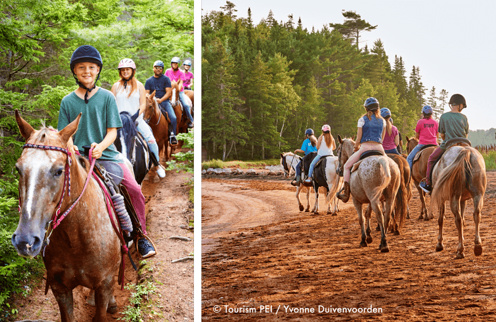PEIで乗馬体験