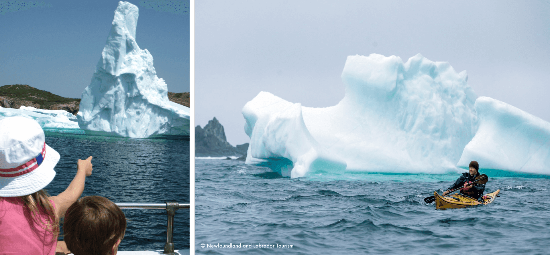 氷山ウォッチング