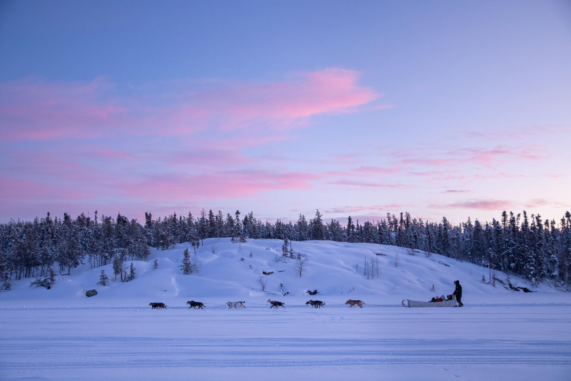 A dog sled traveling in front of a low, snow-covered, forested hill as the sun sets.