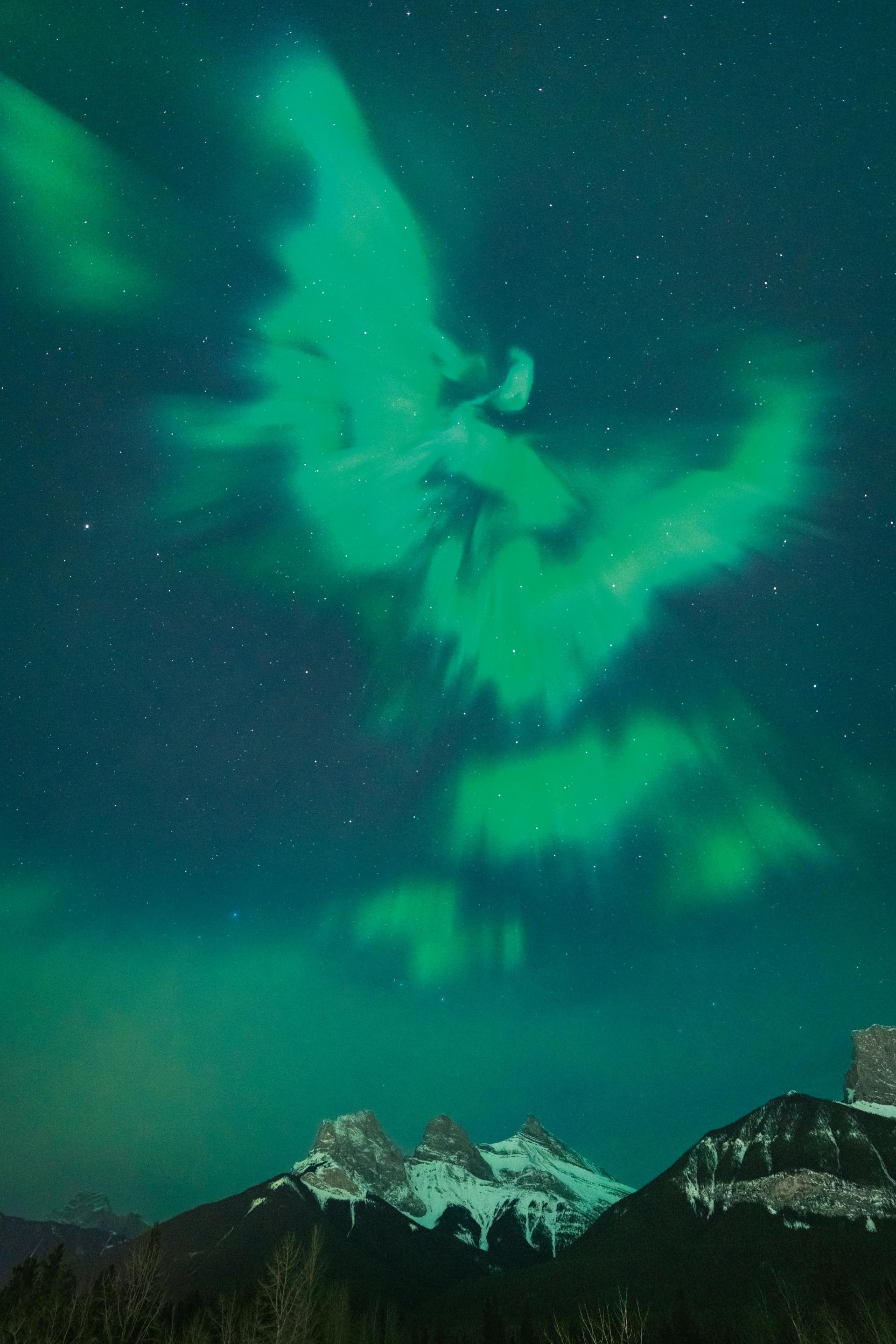 alberta