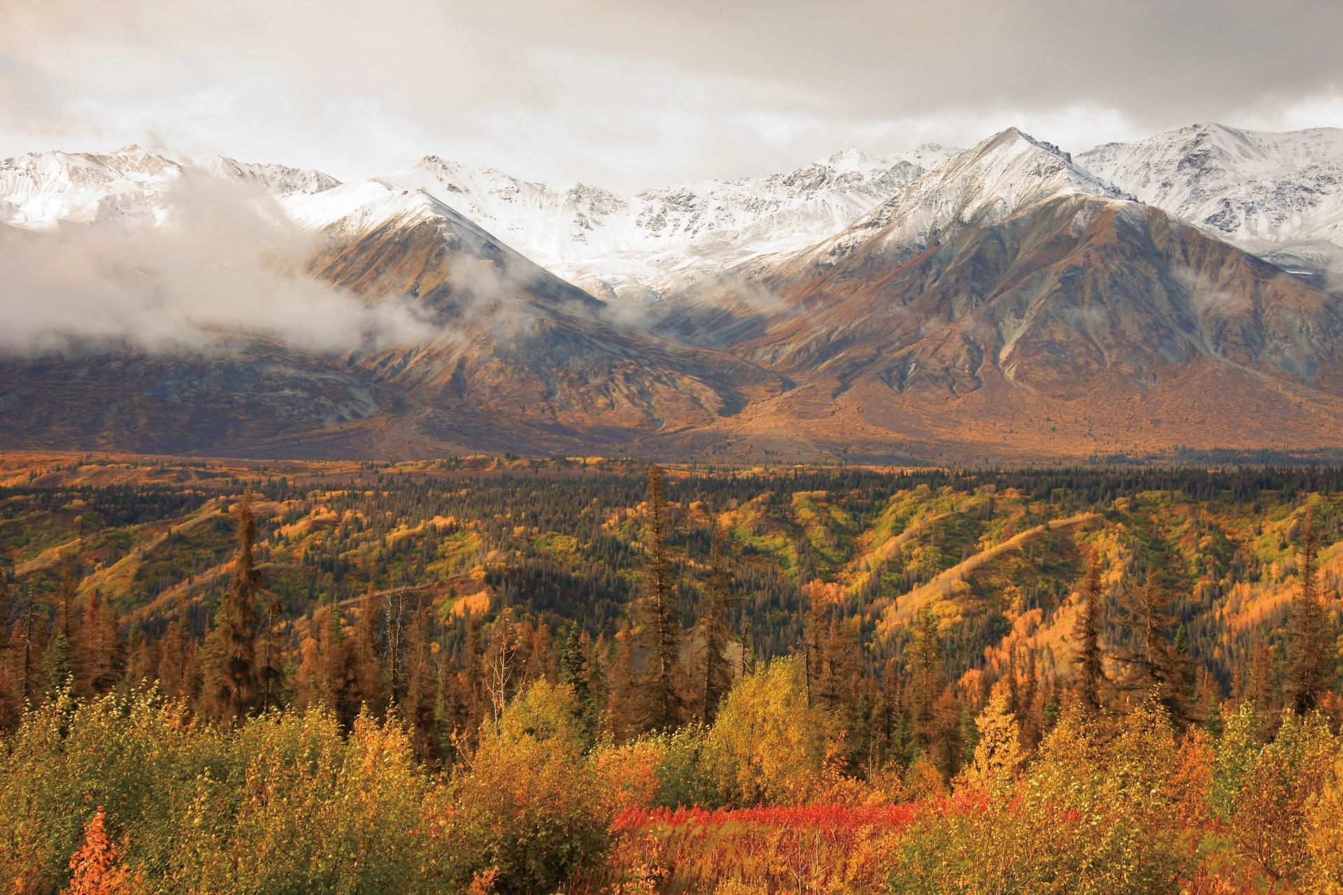 yukon