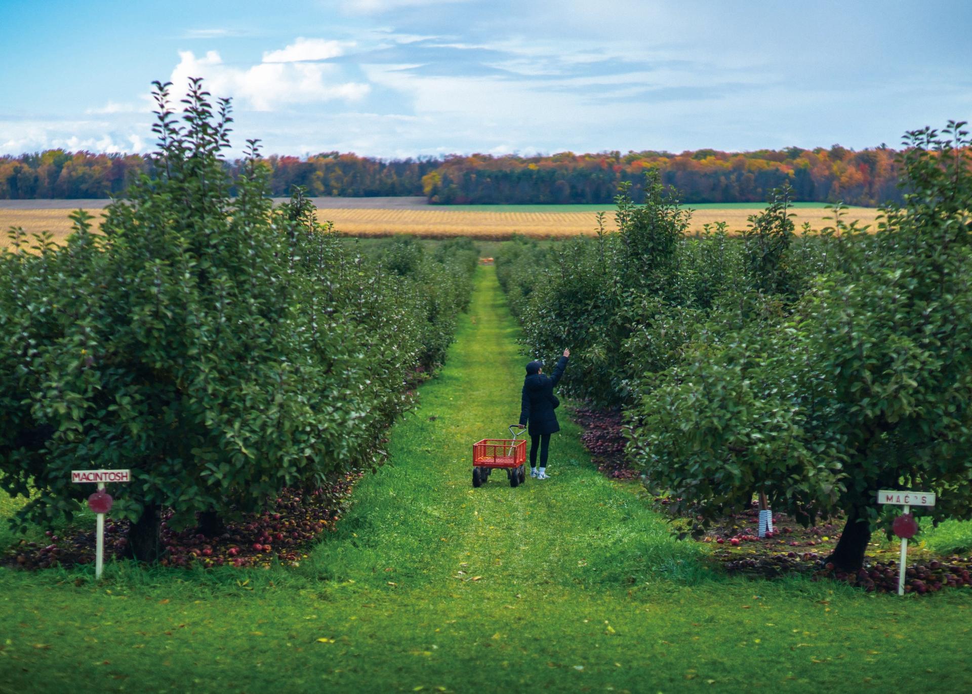 PrinceEdwardCounty
