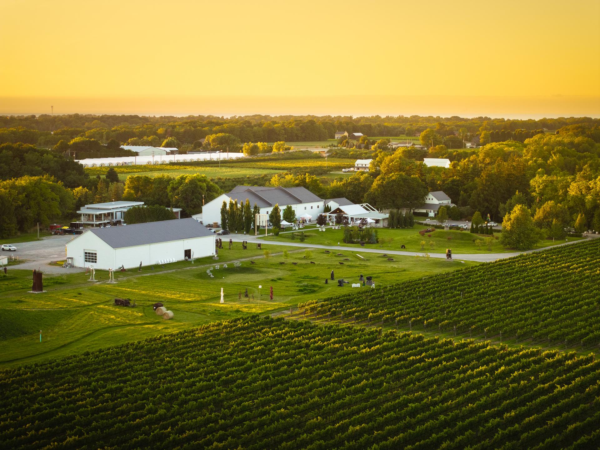 An aerial view of the 13th Street Winery.