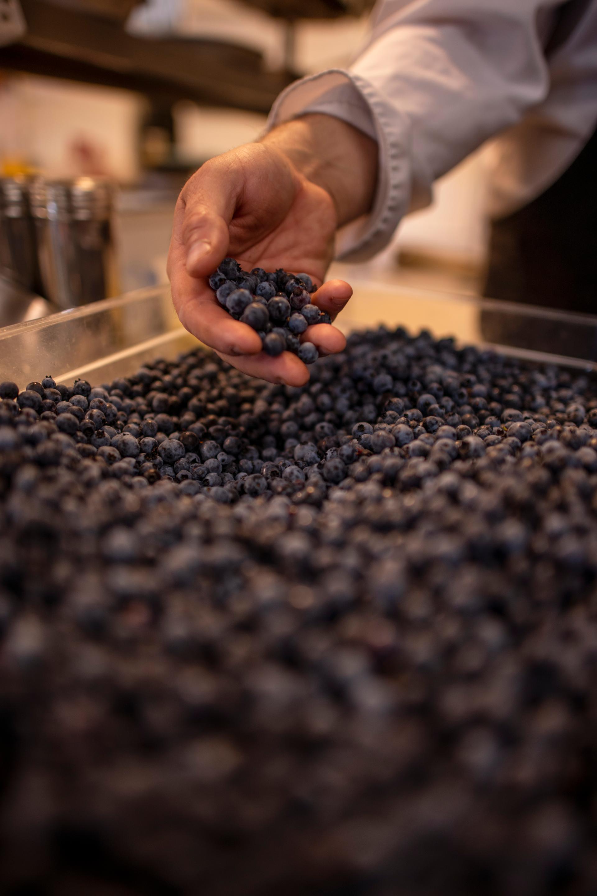 A hand scooping fresh blueberries from a large container