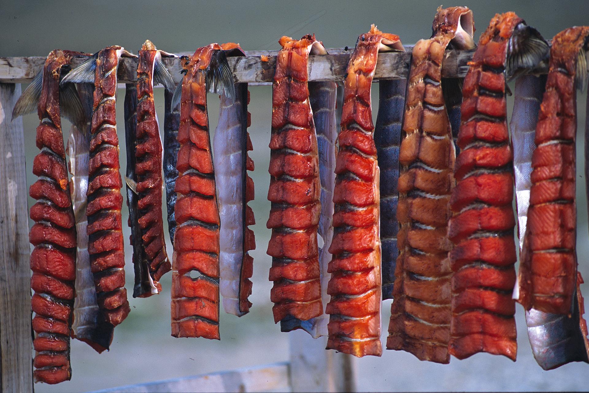 Strips of Arctic char hanging on a wooden rack to dry