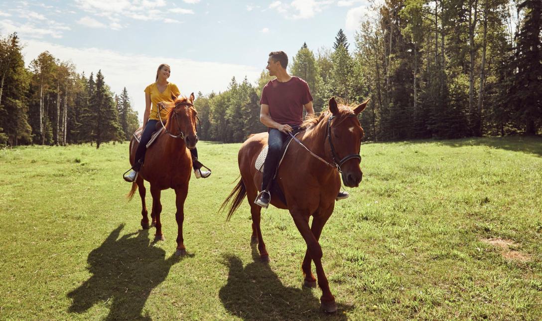 ペインテッド・ウォリアーズ