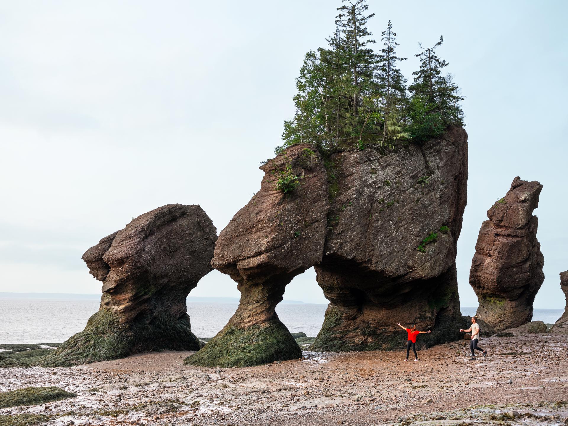 Hopewell rocks, New Brunswick