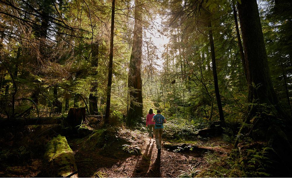 スタンレーパーク イメージ