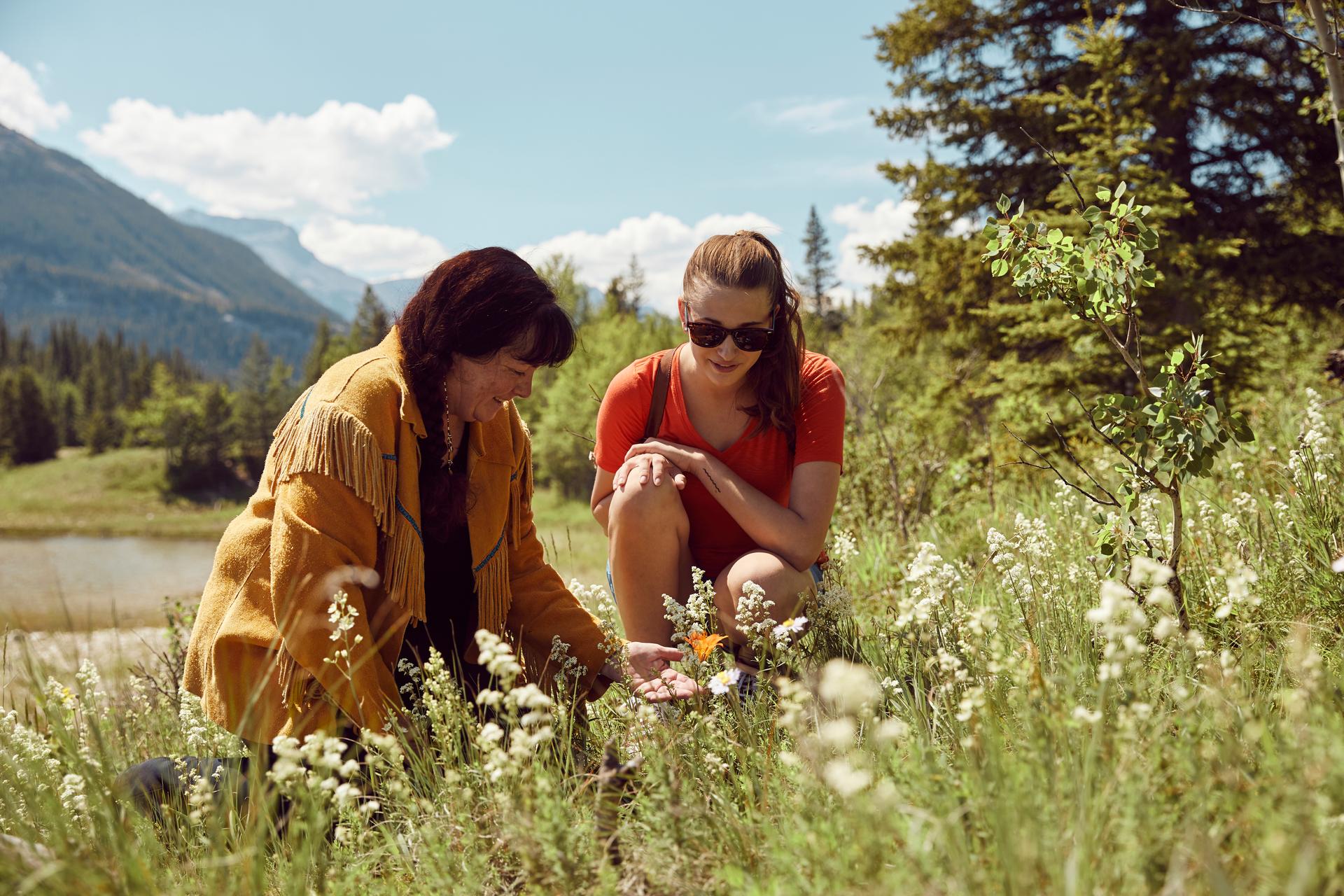 Two people kneeling in a meadow, examining wildflowers