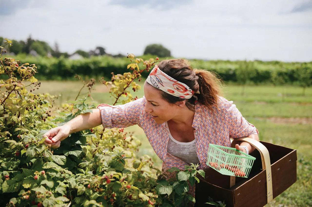 Represents the Tour Niagara-on-the-Lake recommendation, giving readers a concrete visual cue for what the experience entails so they can compare ‘adrenaline’, ‘culture’, ‘food’, and ‘views’ across the top-10 list.