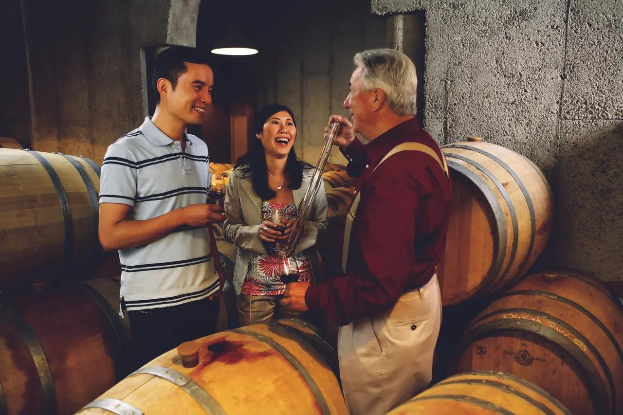 Represents the Wine tasting and touring recommendation, giving readers a concrete visual cue for what the experience entails so they can compare ‘adrenaline’, ‘culture’, ‘food’, and ‘views’ across the top-10 list.