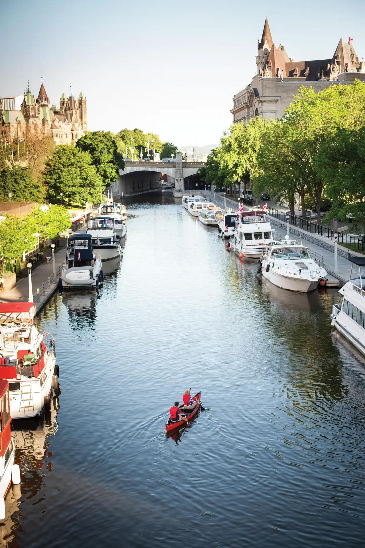 Hero image that introduces the article as a cross‑Canada ‘local tips’ roundup—signaling variety (cities + wilderness) and positioning waterfront time as both activity (surf/paddle) and relaxation (chill spots).