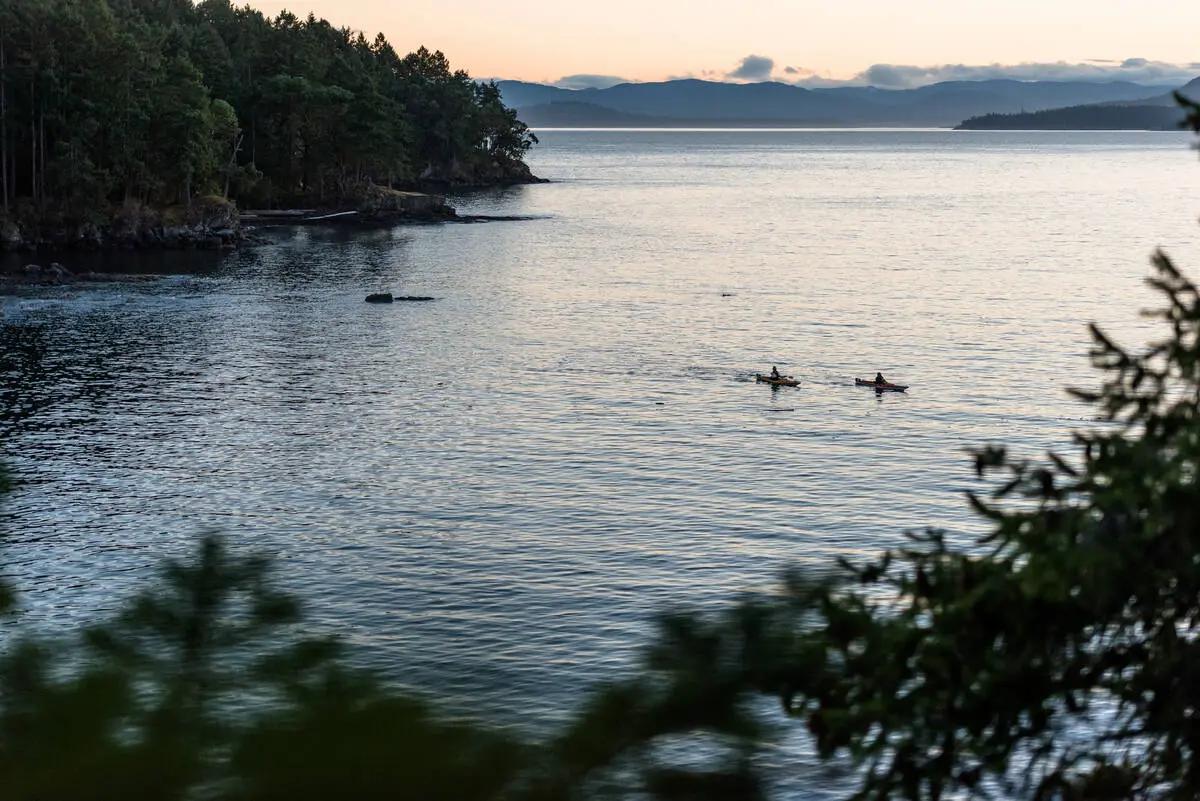 Two kayakers paddle through calm, sheltered waters between forested islands in British Columbia’s Gulf Islands—demonstrating the accessible, beginner-friendly sea kayaking routes that let paddlers explore at their own pace.