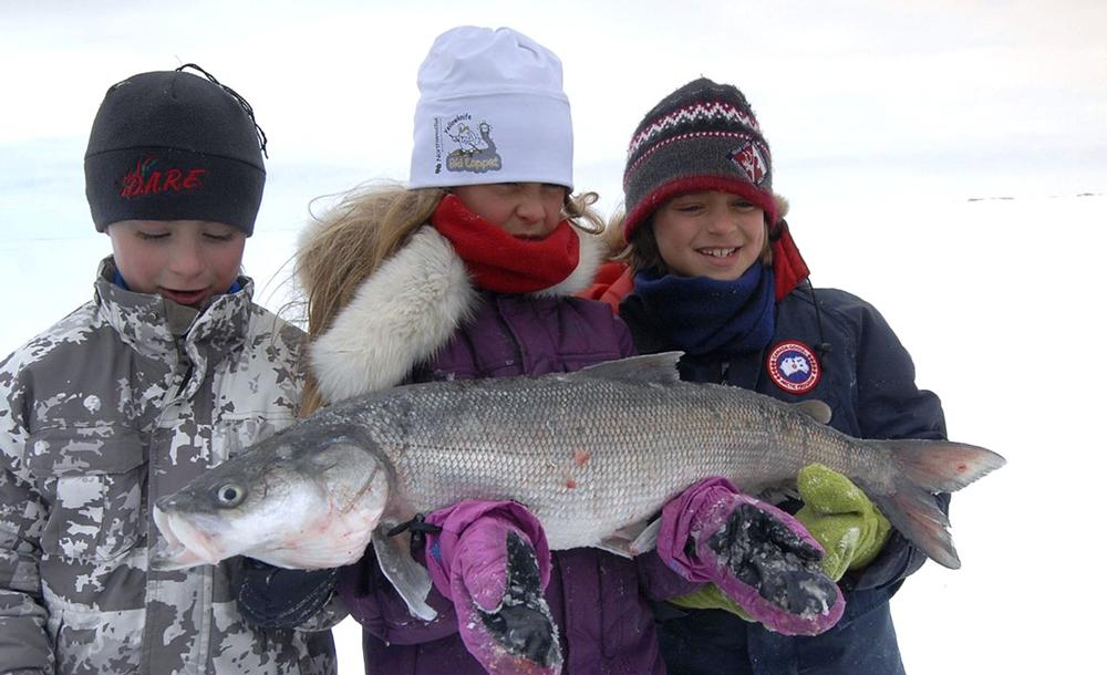 イエローナイフ イメージ