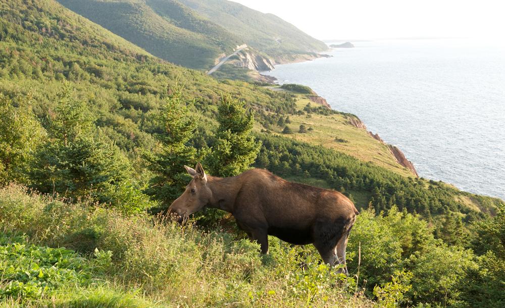 ケープ・ブレトン島 イメージ