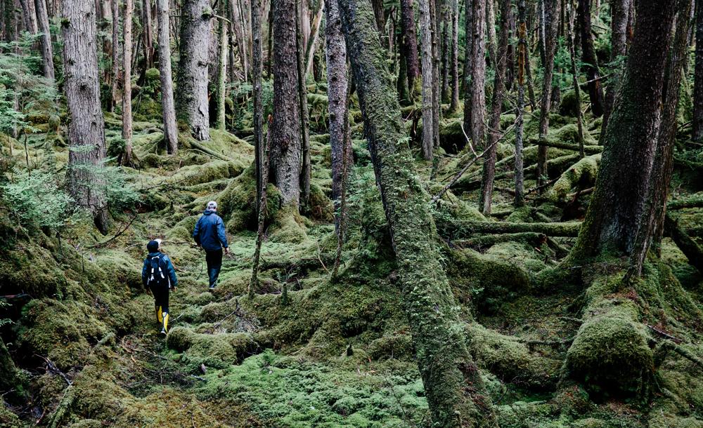 ハイダ・グワイ イメージ