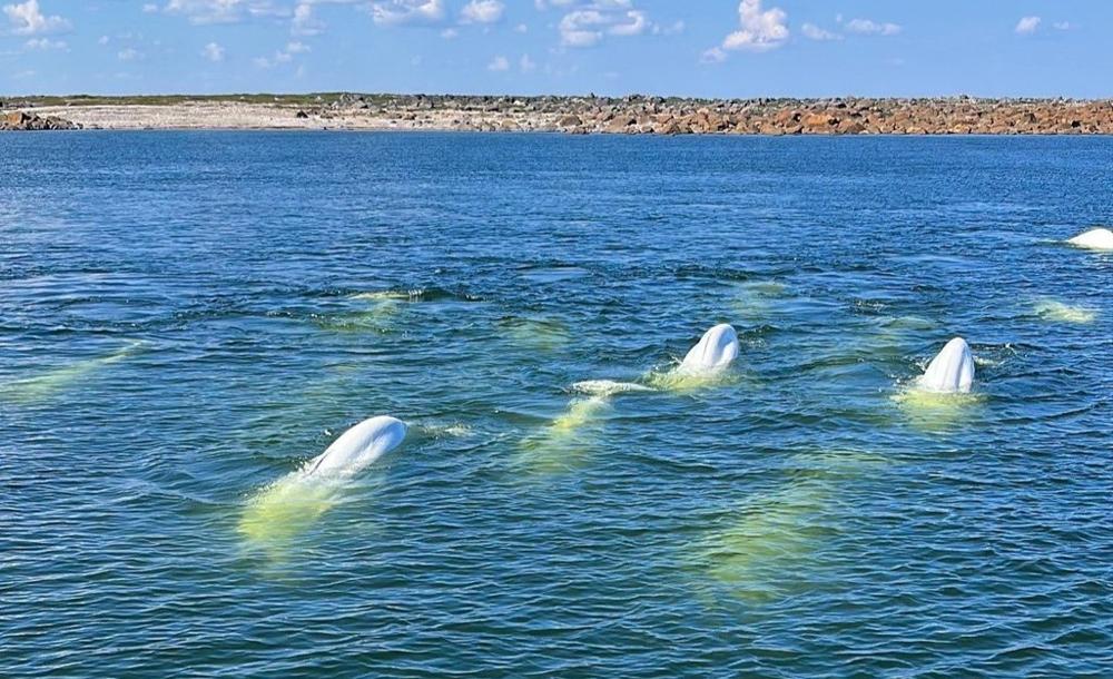 チャーチル イメージ