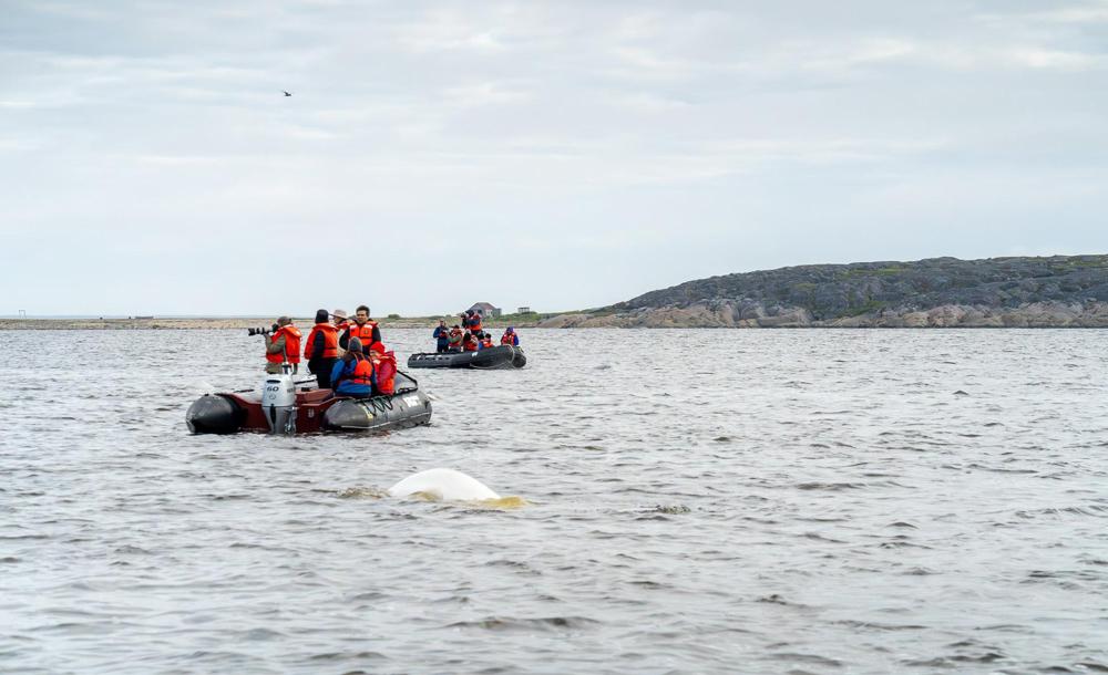 チャーチル イメージ