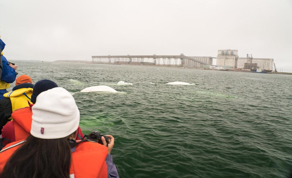 チャーチル イメージ