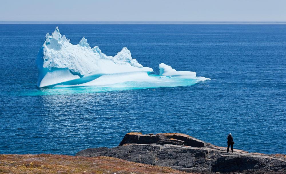 ニューファンドランド島 イメージ