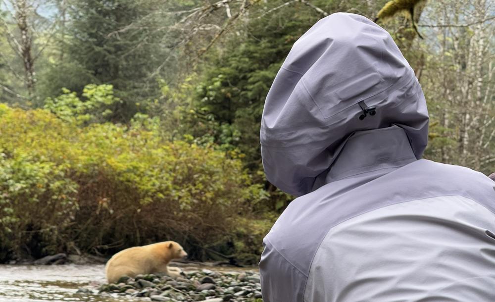 グレート・ベア・レインフォレスト イメージ