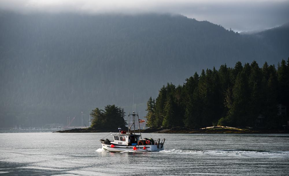 グレート・ベア・レインフォレスト イメージ