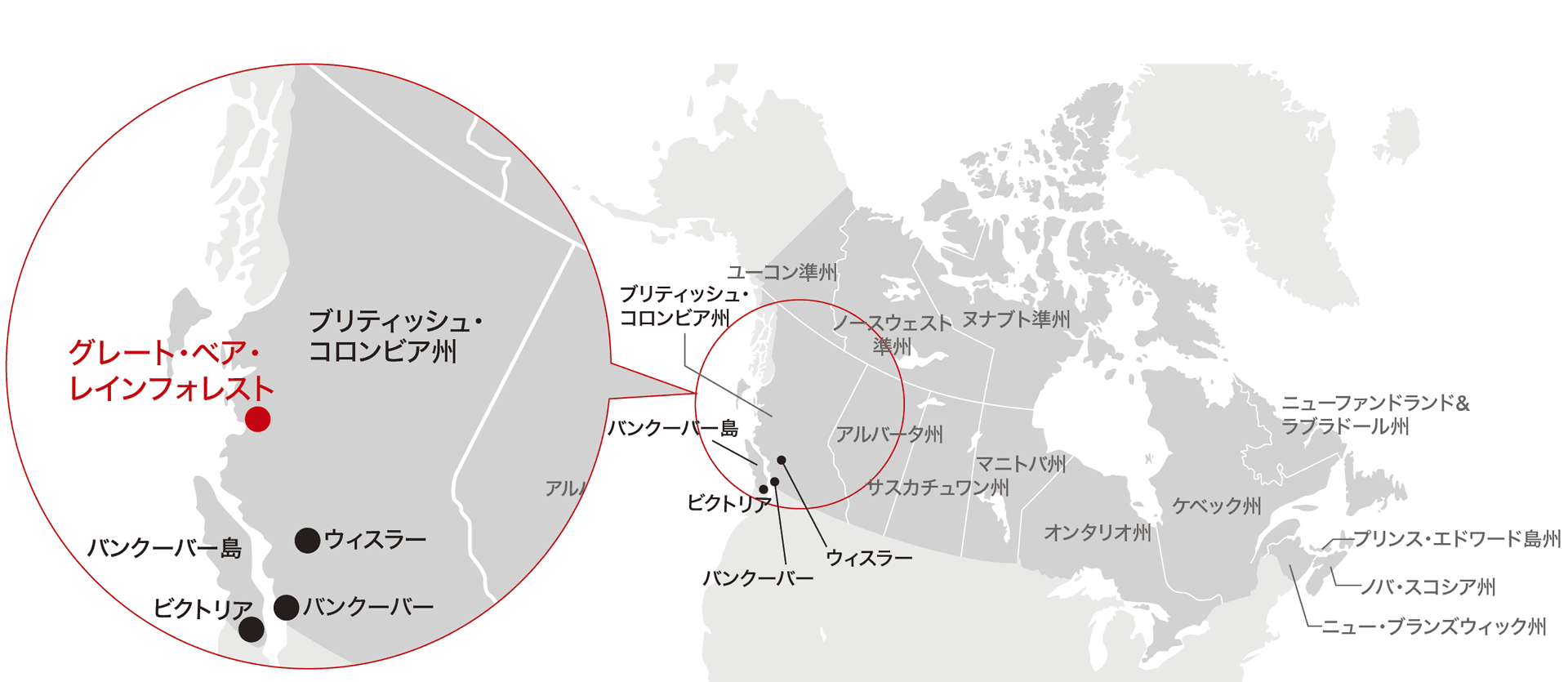 グレート・ベア・レインフォレストの位置