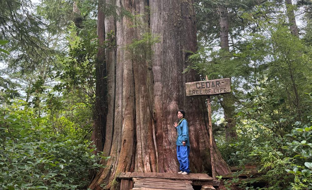 バンクーバー島 イメージ