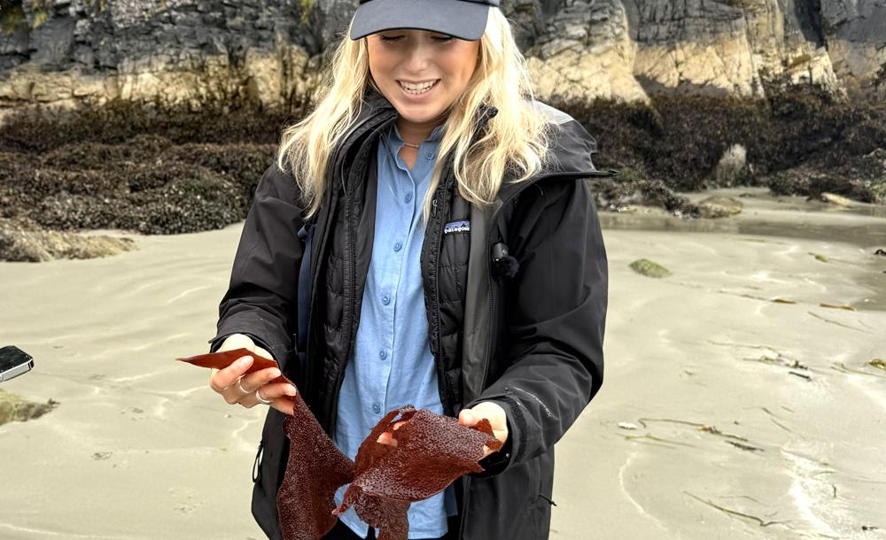 バンクーバー島 イメージ