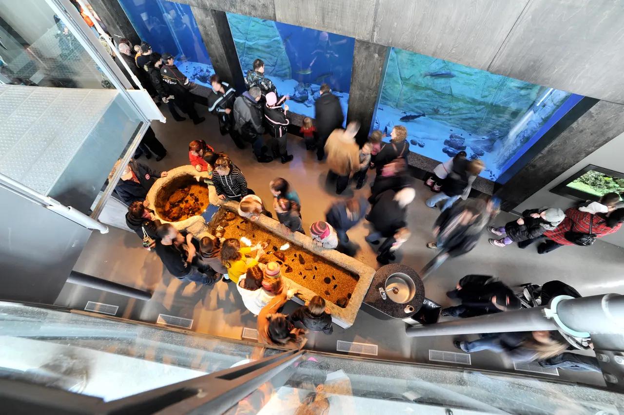 Interior view of Musée du Fjord showing visitors exploring interactive multimedia exhibits and the large aquarium displaying 650 species of fjord marine life.