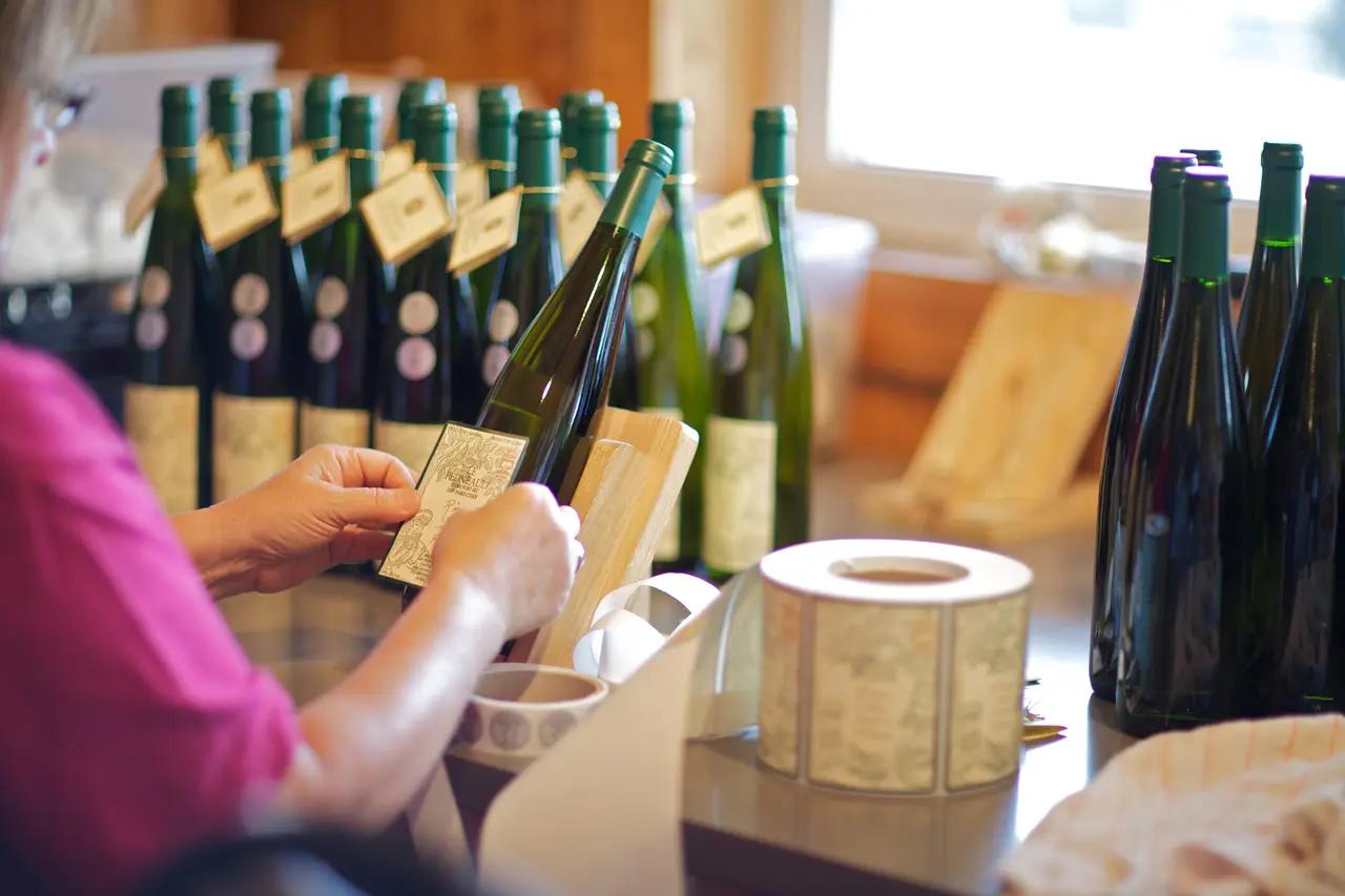 Supports the Wine Route by showing a tasting stop along the Brome–Missisquoi drive, reinforcing that the route is planned around vineyards, cider, and food experiences—where a designated driver and pacing matter.