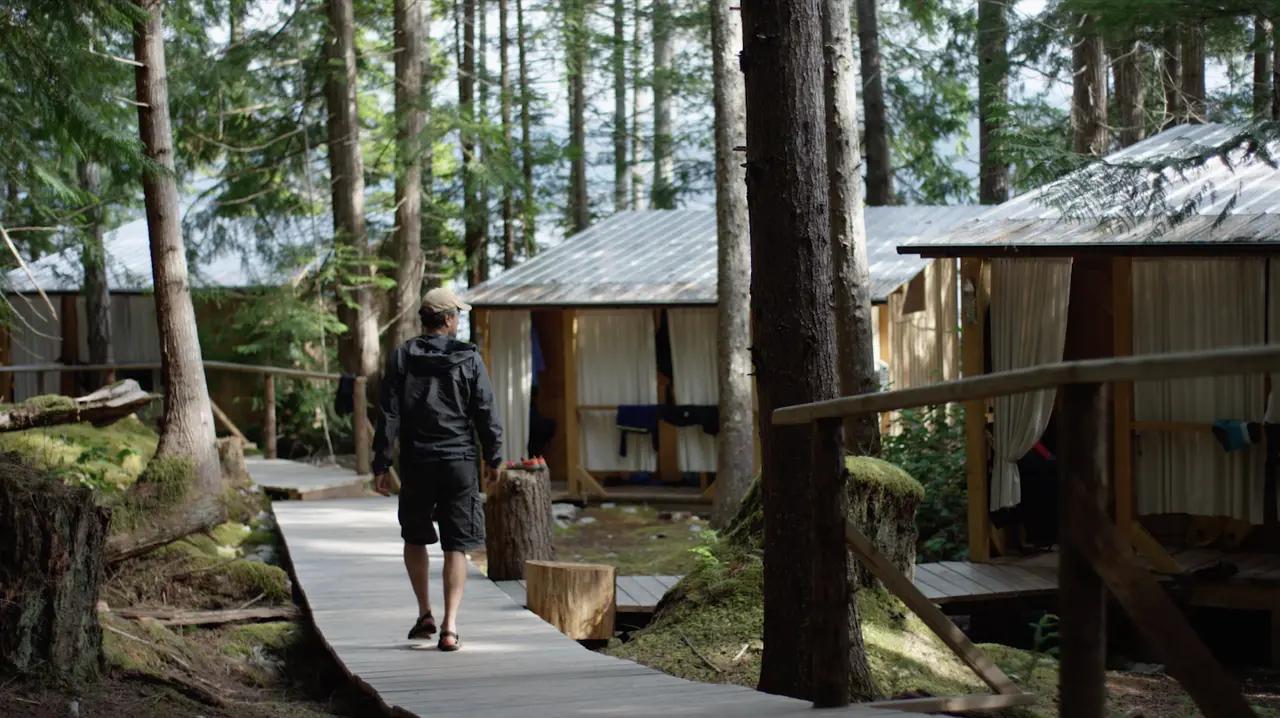 A guest strolls alone along a wooden boardwalk path winding between tall coastal evergreens past open-fronted eco-cabins with corrugated metal roofs and white-curtained interiors at Cabana Desolation Eco Resort — an off-grid, sustainably built island retreat in Desolation Sound, British Columbia, surrounded by warm ocean and Coast Mountain wilderness with no roads in or out.